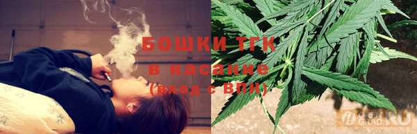 прущие грибы Абаза
