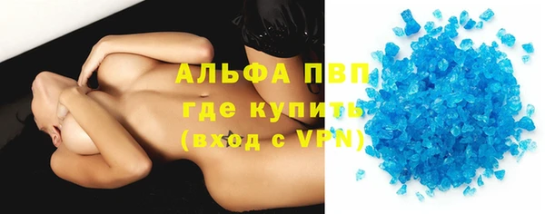 прущие грибы Абаза