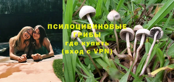 mdpv Покров