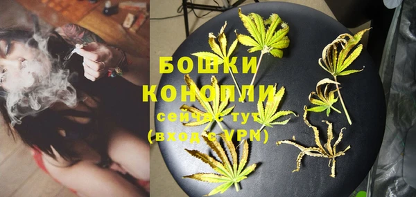 гидра Покровск