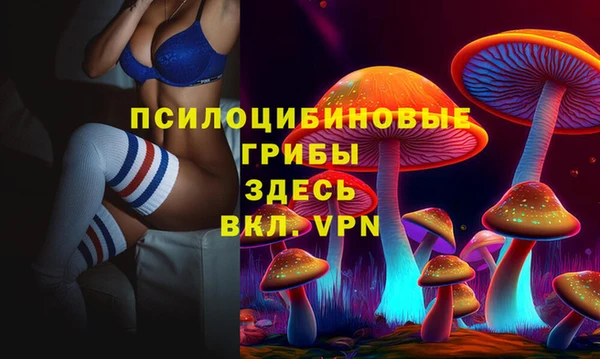 прущие грибы Абаза