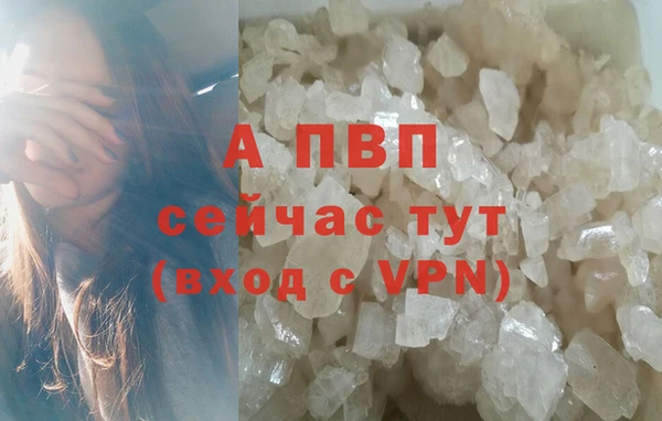 гидра Покровск