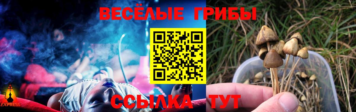 Холмск  Галлюциногенные грибы GOLDEN TEACHER  Вход с VPN 